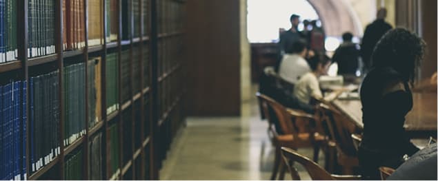 Investigación de temáticas