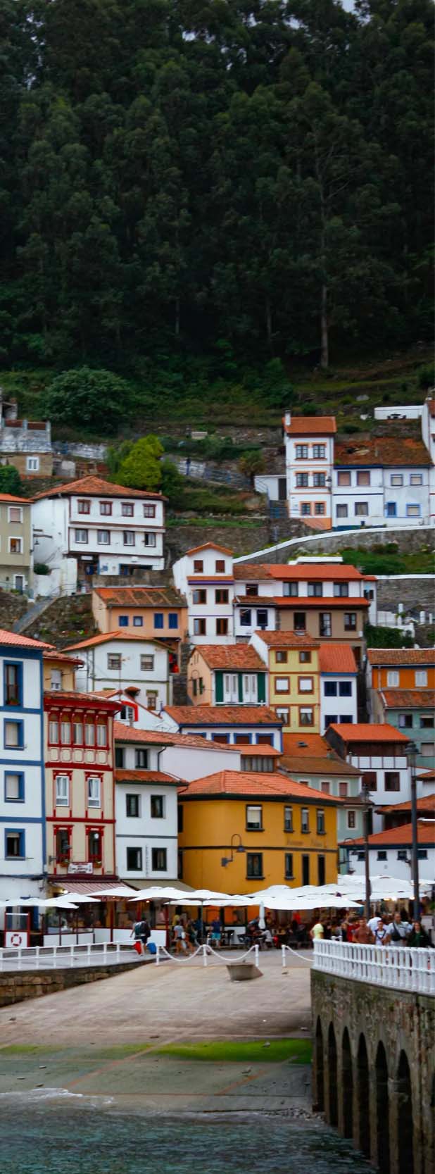 Transferencia de vehículo en Asturias