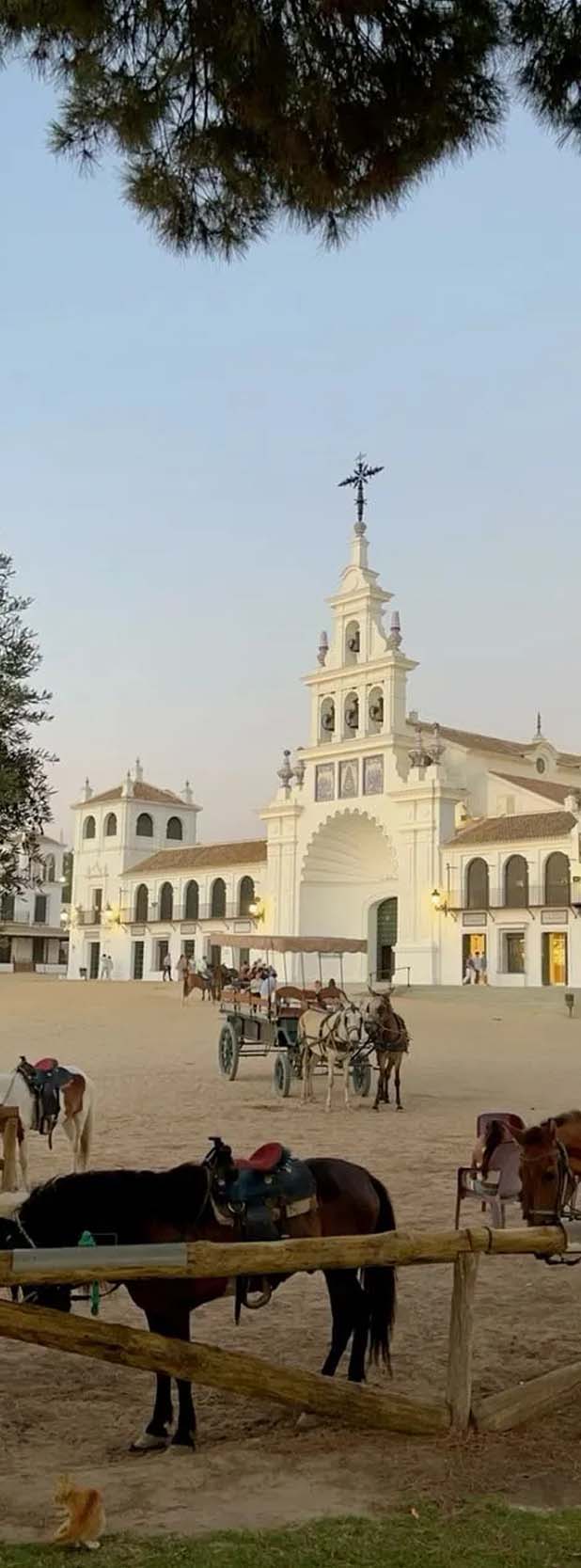Transferencia de vehículo en Huelva