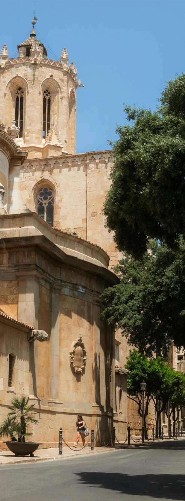 Transferencia de vehículo en Tarragona