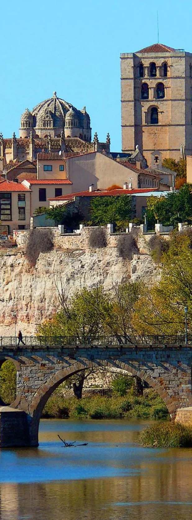 Transferencia de vehículo en Zamora